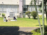 写真：中庭で昼食を食べている先生たち