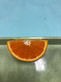 写真：清見オレンジ
