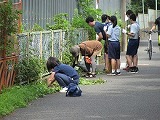 写真：「青空通り」草刈りの様子6