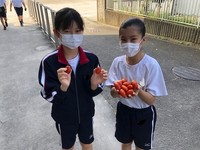 写真：トマトを持った生徒たち