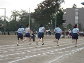 写真　1学年運動会　50m走