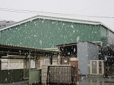 写真　ぼた雪