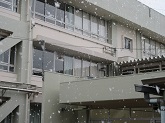 写真　ぼた雪