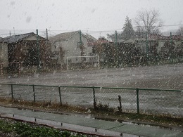 写真　ぼた雪