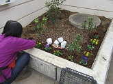 写真　花植え作業　花ボランティアのみなさん