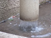 写真　雨のあとは虹