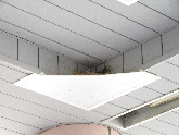 写真　燕の巣