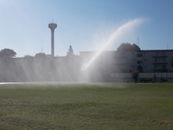 写真：放水