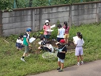 写真：ホウセンカの観察の様子1