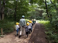 写真：夏探しの学習の様子3