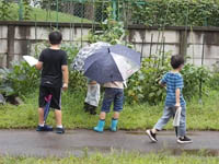 写真：本を読む生徒