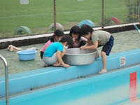 写真：プールでヤゴとりをする生徒3