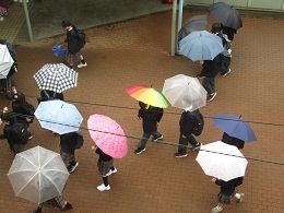 写真　雨のの一日