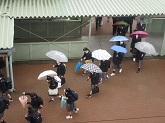 写真　雨のの一日