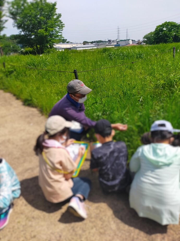 5月10日、11日でビオトープの見学に行きました。ビオトープを育む会の方々に春の動植物の様子を教えていただきました。