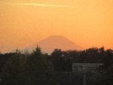 写真　富士山