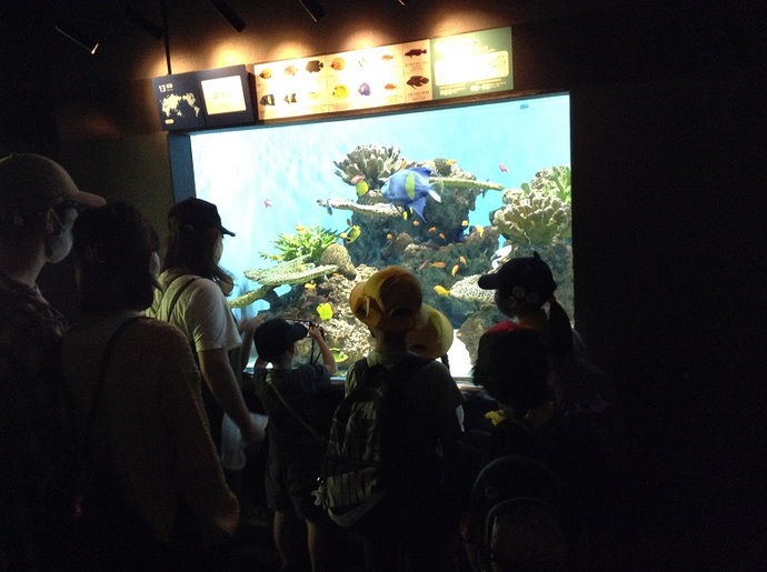 水族館