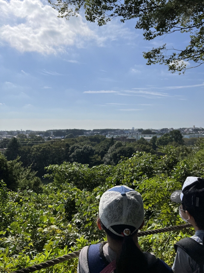 公園からの眺め