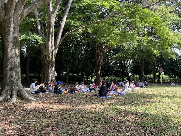 公園でお弁当