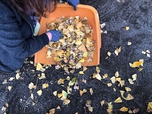 美化清掃・落ち葉掃きボランティア