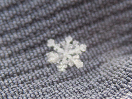写真　雪の結晶