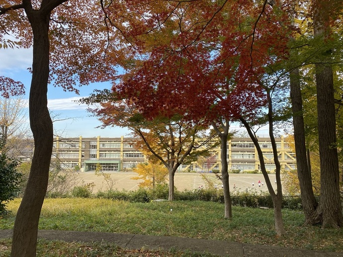 学校の風景