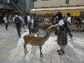 写真　修学旅行