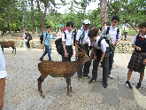 写真　修学旅行