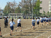 写真　マラソン大会