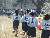 写真　マラソン大会