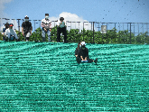 写真　校外学習