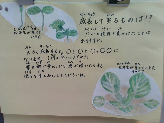 実り
