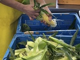 写真　給食