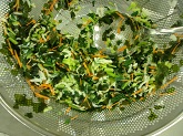 写真　給食