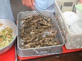 写真　給食