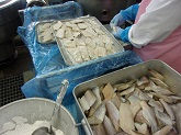 写真　給食