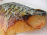 写真　給食