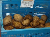 写真　給食
