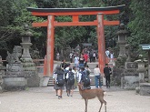 写真　修学旅行