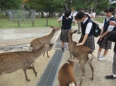 写真　修学旅行