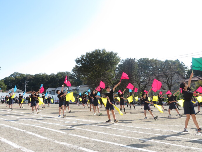 1104_undoukai_5.6_1