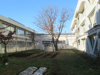 写真　堆肥