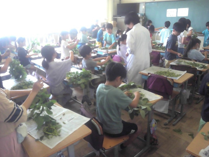 写真
