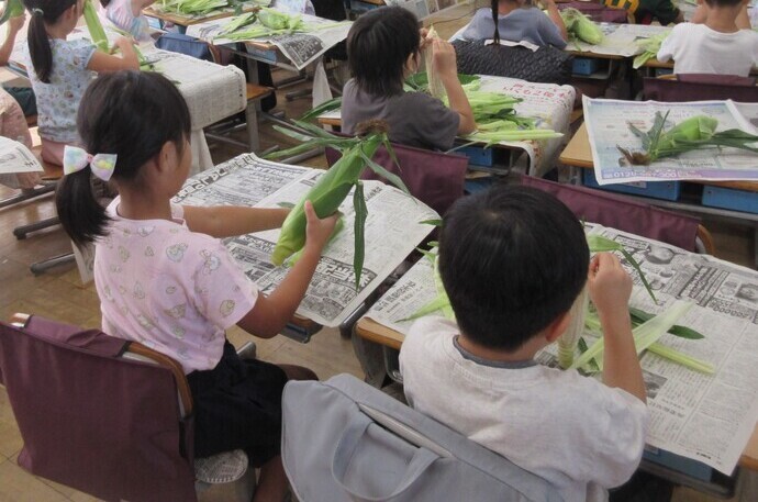 6月30日　トウモロコシ皮むき　1年生