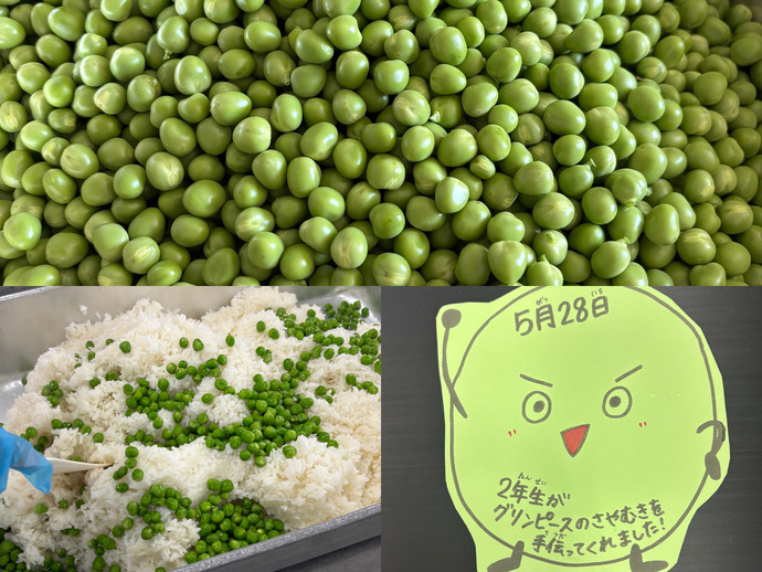 もりもり通信