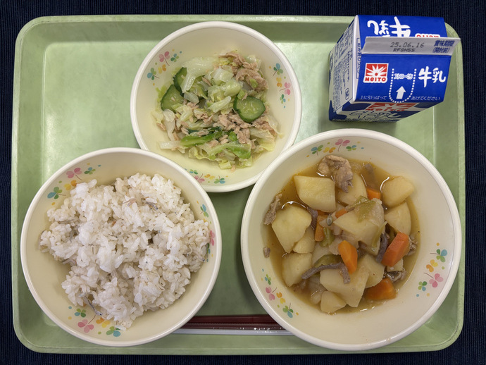 もりもり通信
