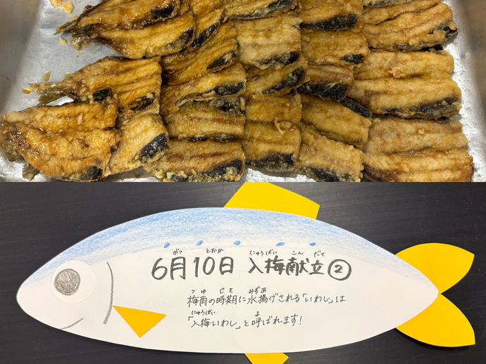 もりもり通信