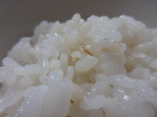 写真　給食