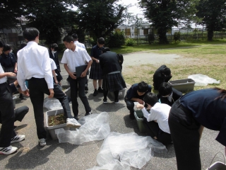 技術の授業