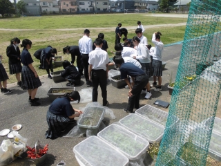 技術の授業